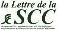 Cliquez ici